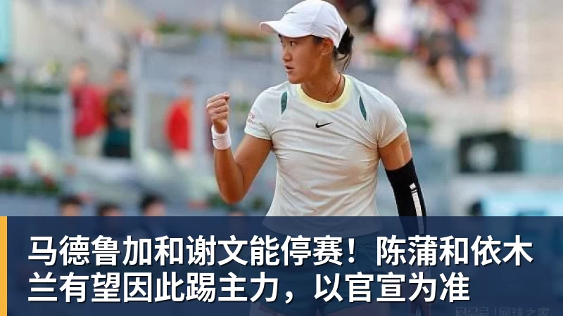 马德鲁加和谢文能停赛！陈蒲和依木兰有望因此踢主力，以官宣为准