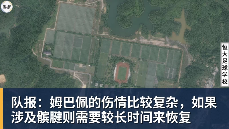 队报：姆巴佩的伤情比较复杂，如果涉及髌腱则需要较长时间来恢复