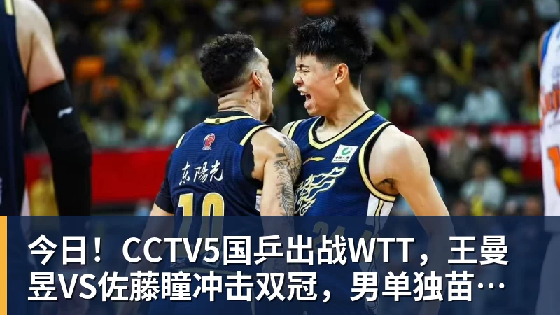 今日！CCTV5国乒出战WTT，王曼昱VS佐藤瞳冲击双冠，男单独苗周启豪PK松岛辉空